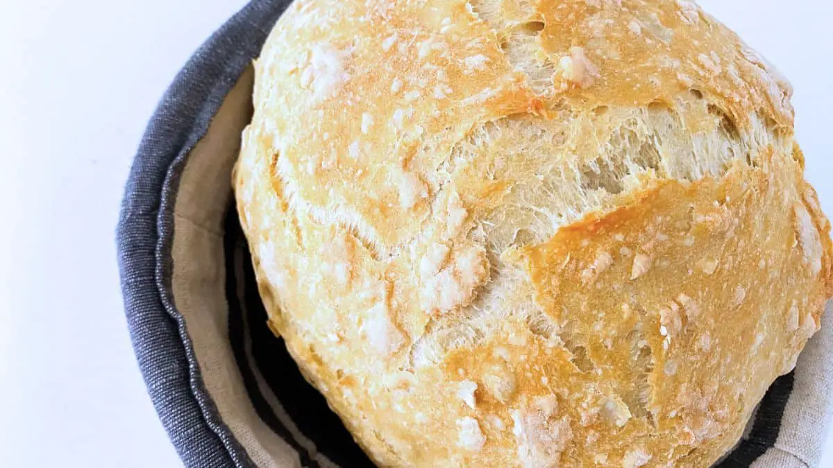 105 camping recipes Dutch Oven No Knead Bread Recipe 