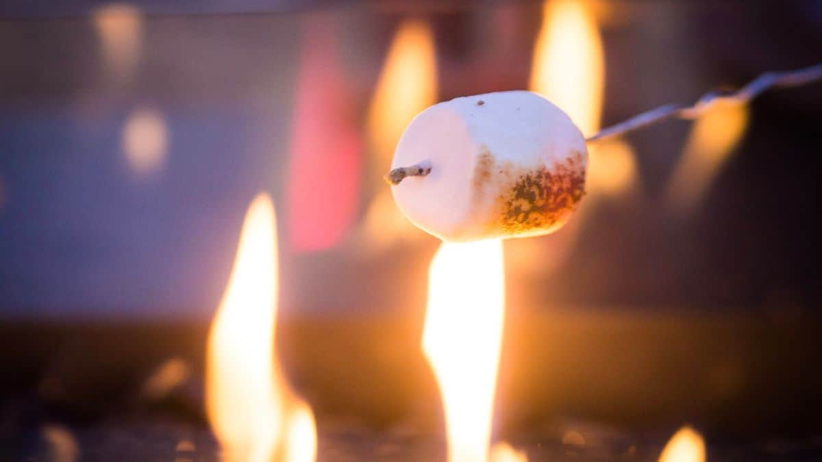 105 camping recipes no mess s'mores