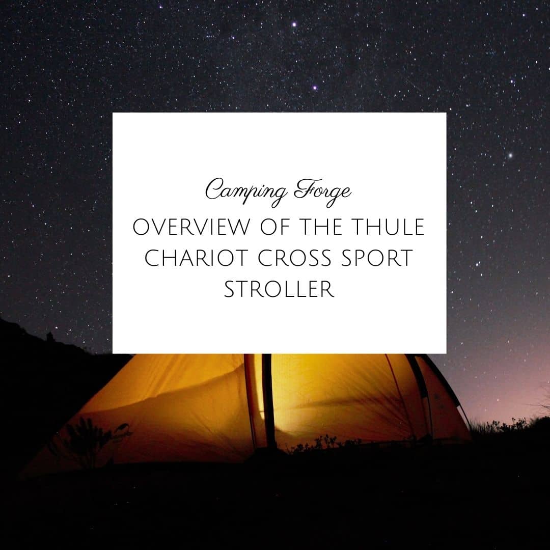 Overview Of The Thule Chariot Cross Sport Stroller