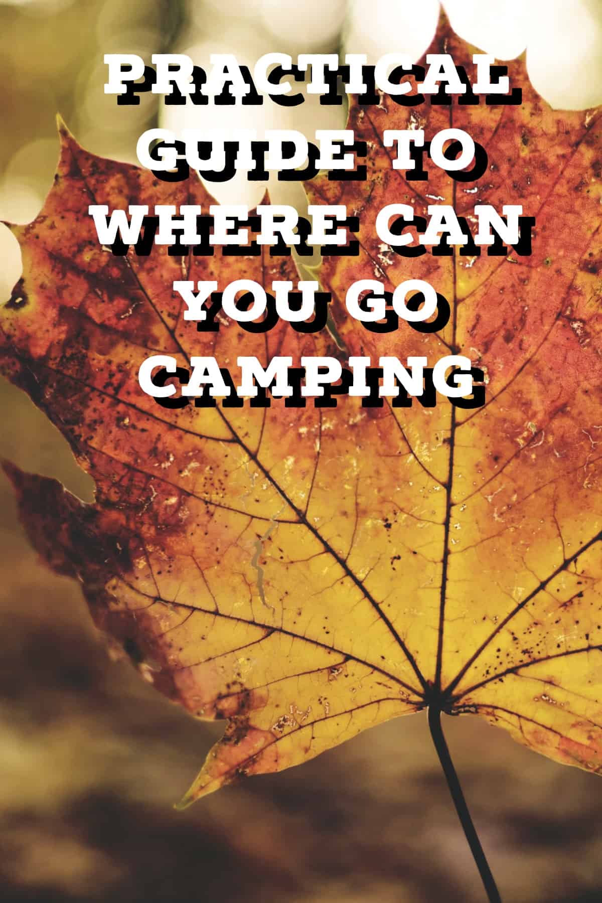 Pinterest image for Practical Guide To Camping In A Tent During A Thunderstorm