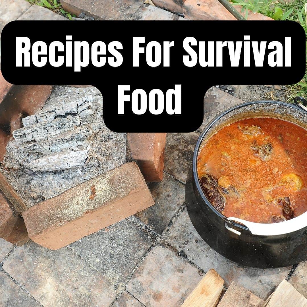 Recipes For Survival Food