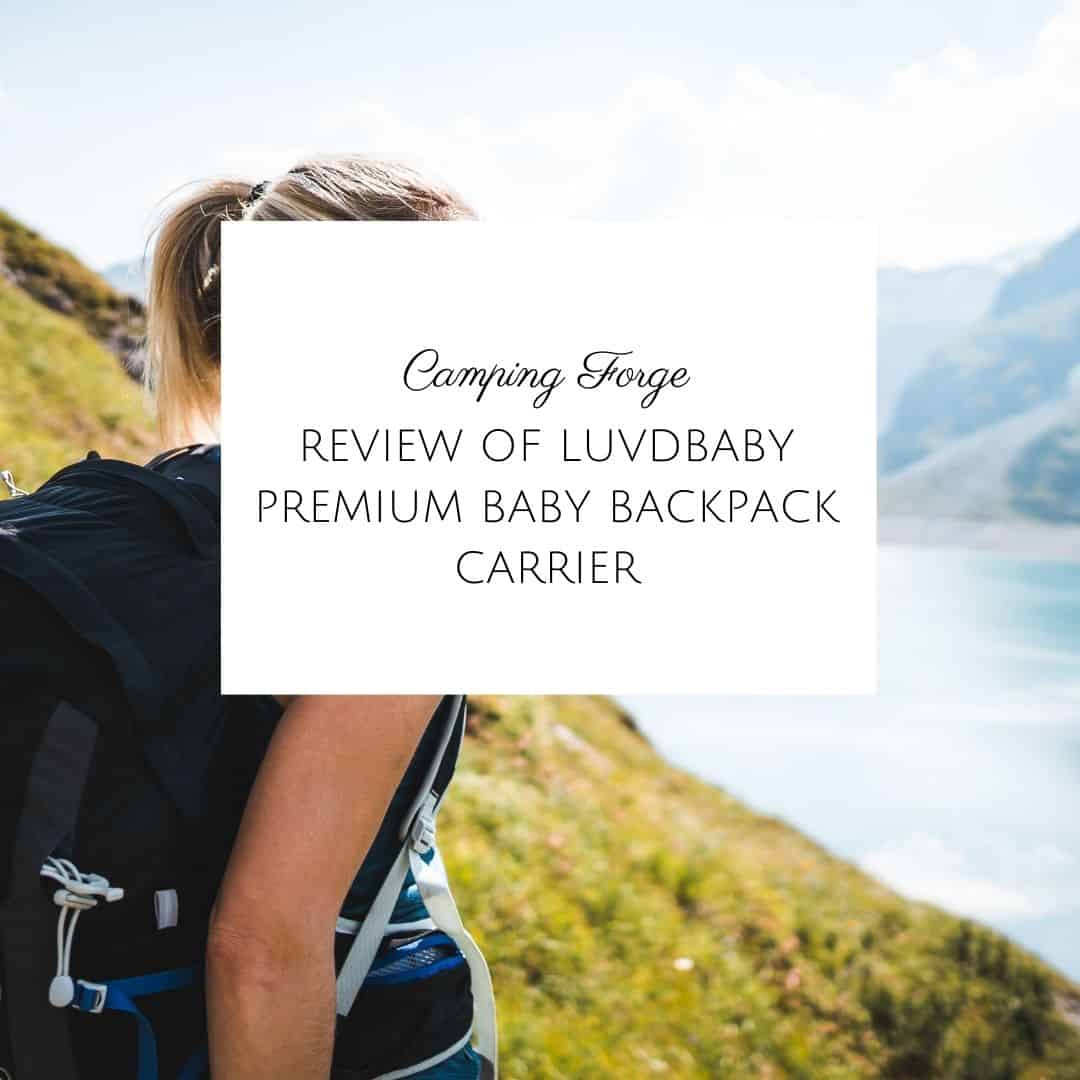 Review Of Luvdbaby Premium Baby Backpack Carrier