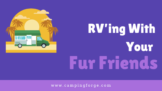 RV’ing With Your Fur Friends