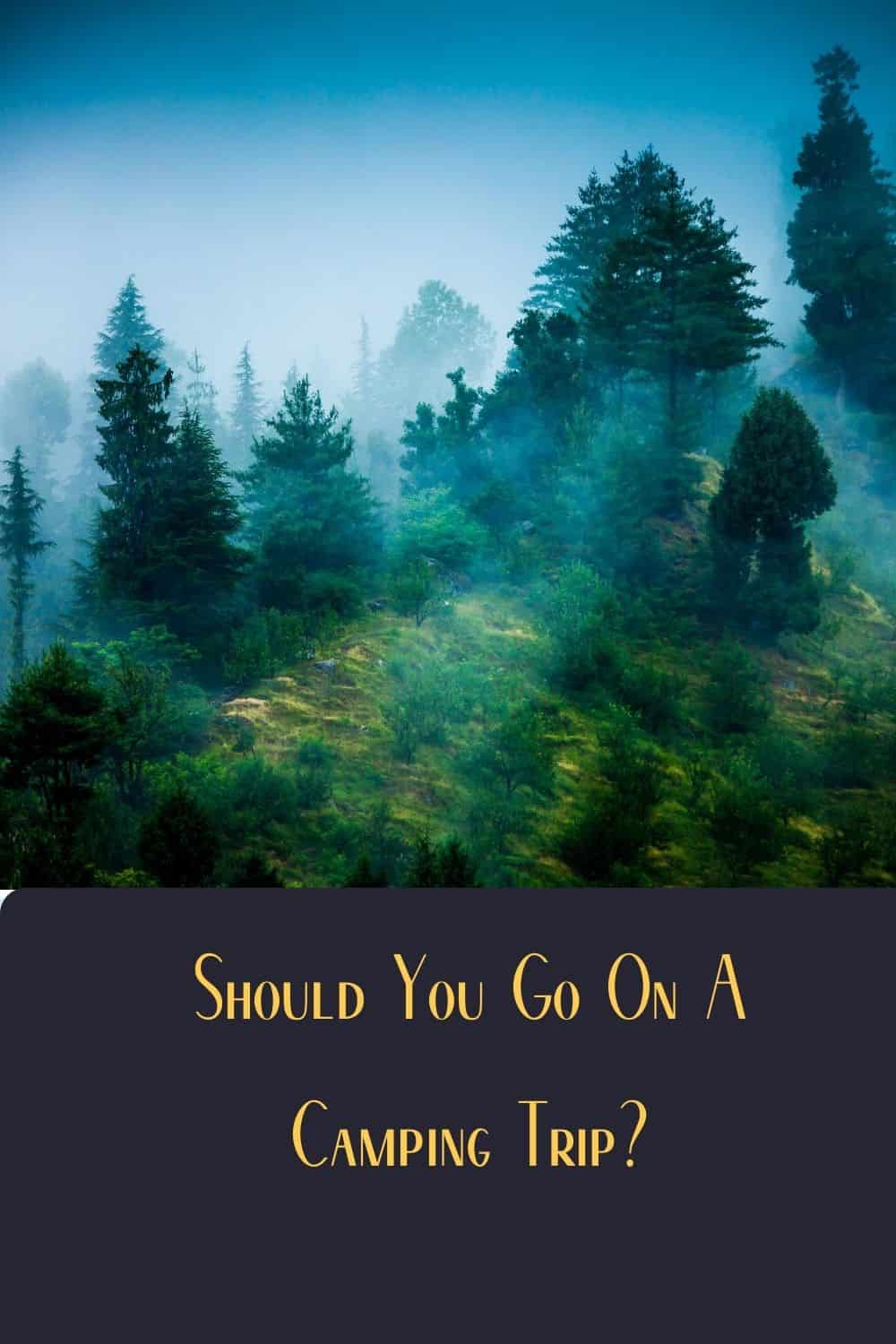 Pinterest image for Should You Go On A Camping Trip?