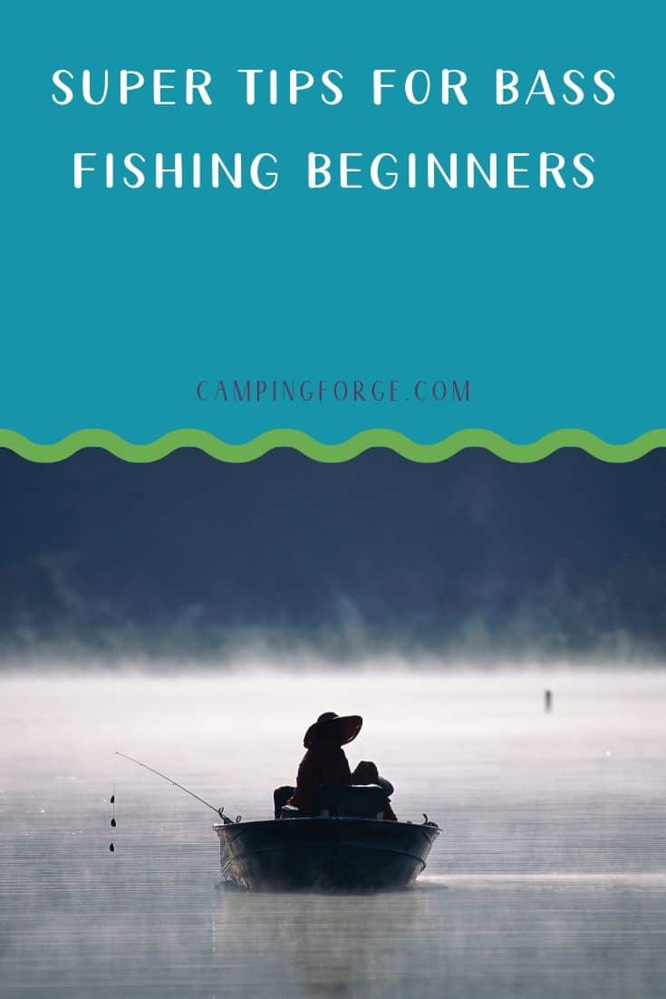 Pinterest image for Super Tips For Bass Fishing Beginners