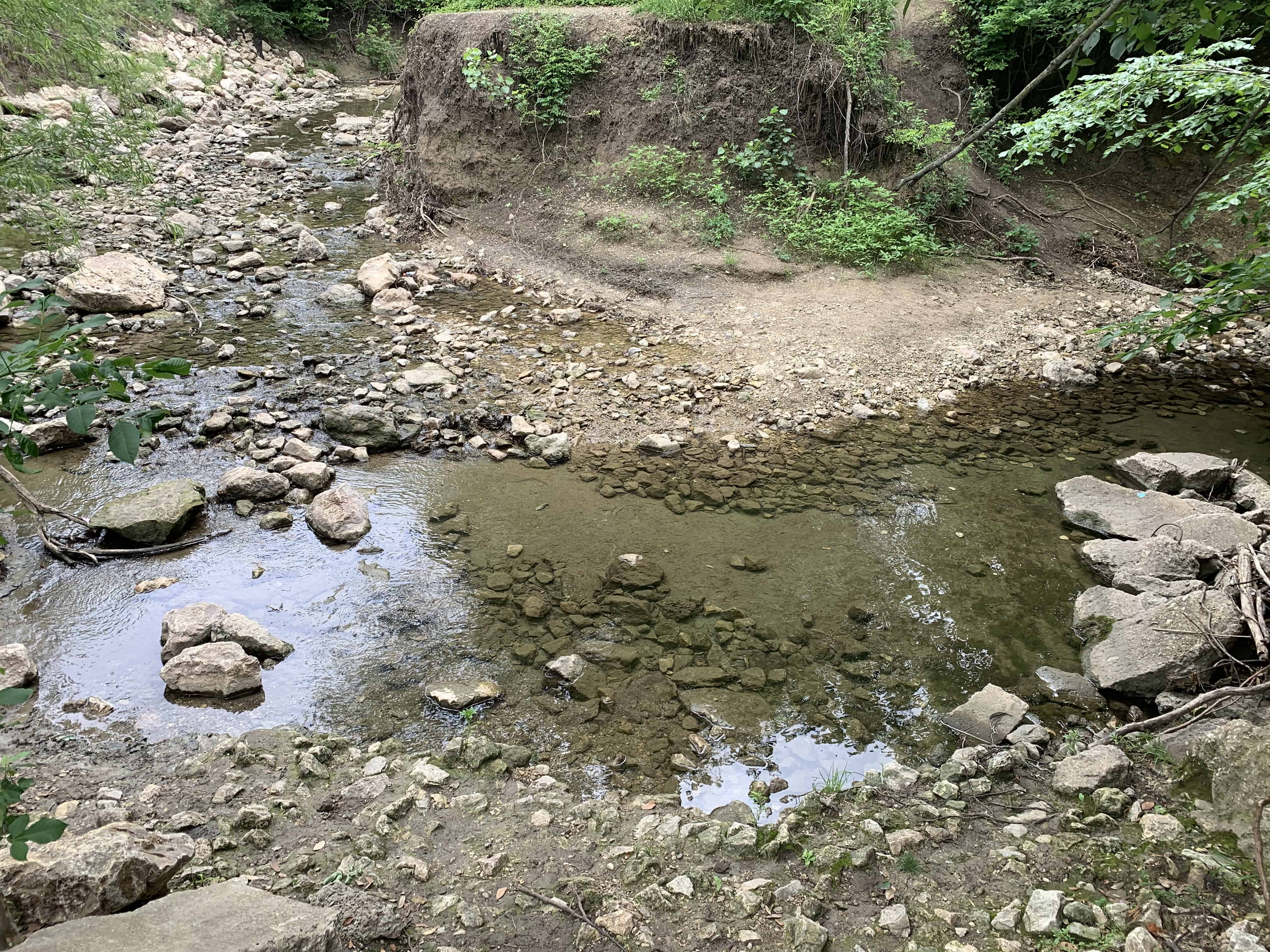 A shallow creek in North Texas