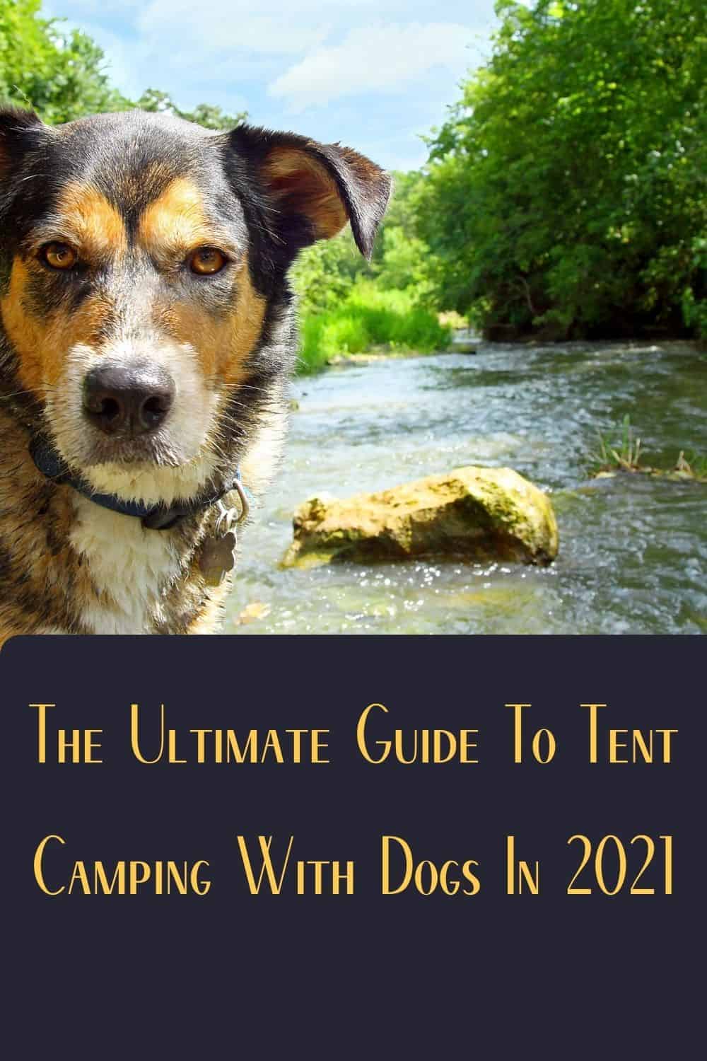 Pinterest image for The Ultimate Guide To Tent Camping With Dogs In 2021