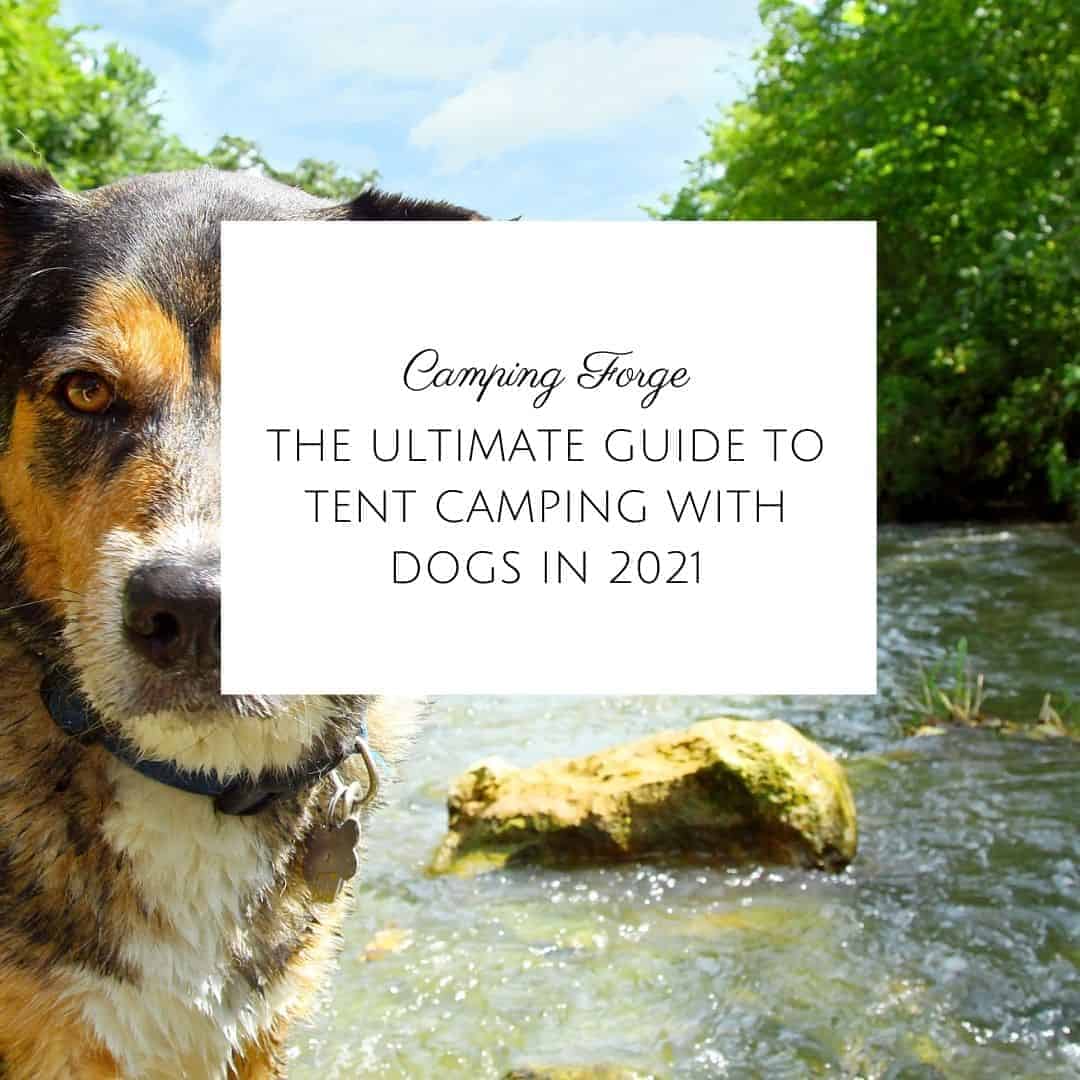 The Ultimate Guide To Tent Camping With Dogs In 2021