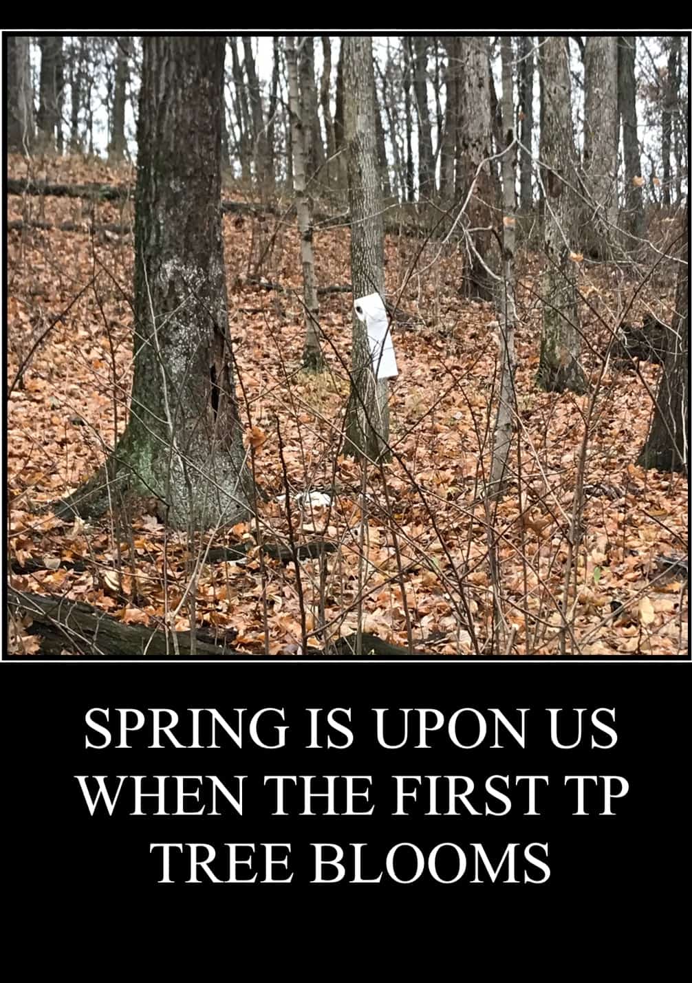 TP Tree Meme