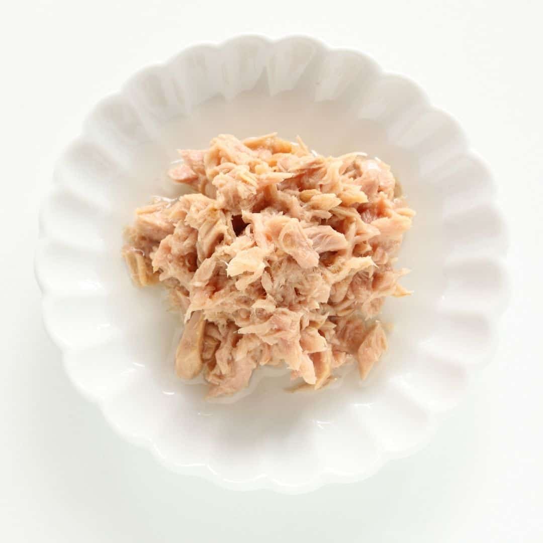 101 Ideas For Canned Tuna That Every Camper Must Try