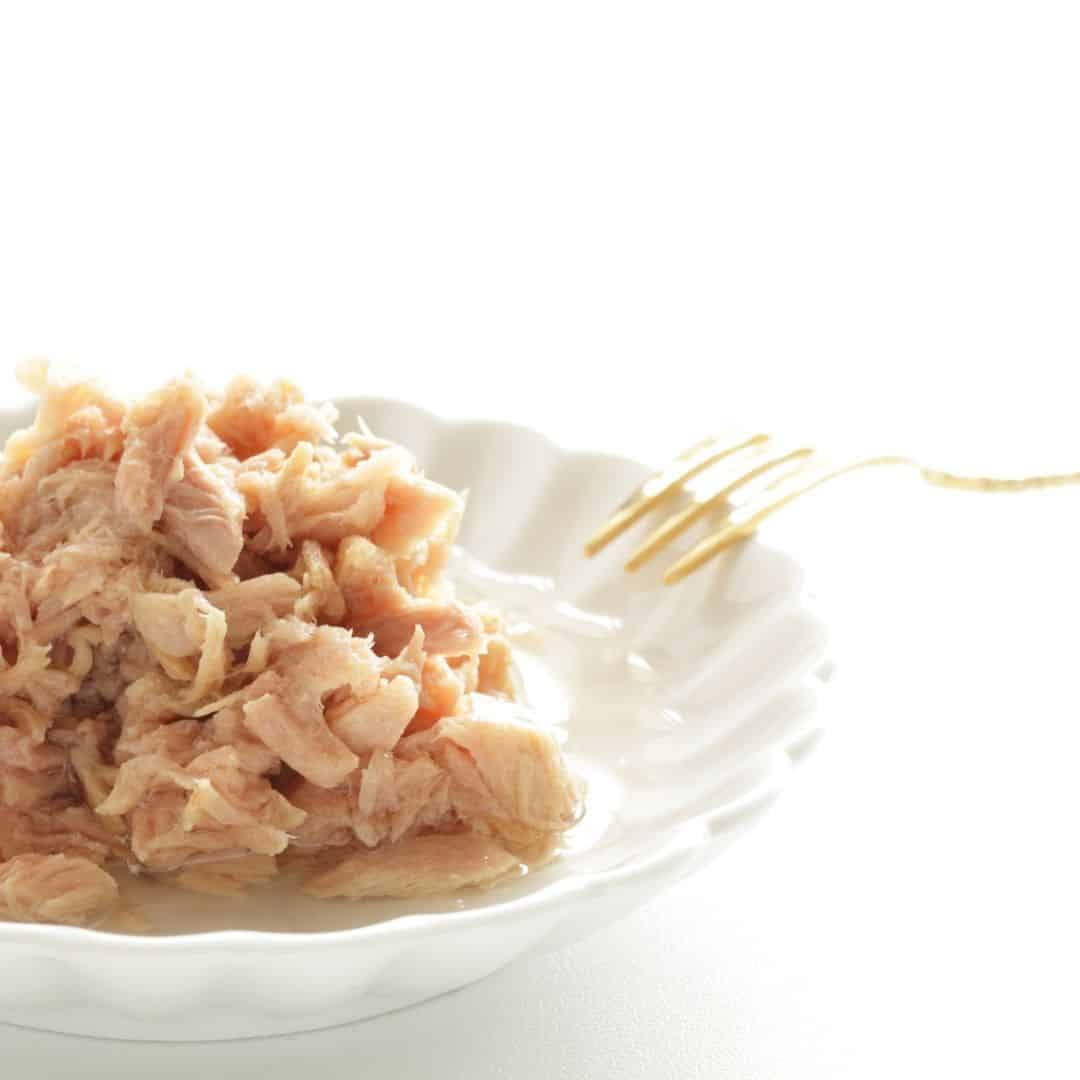 101 Ideas For Canned Tuna That Every Camper Must Try