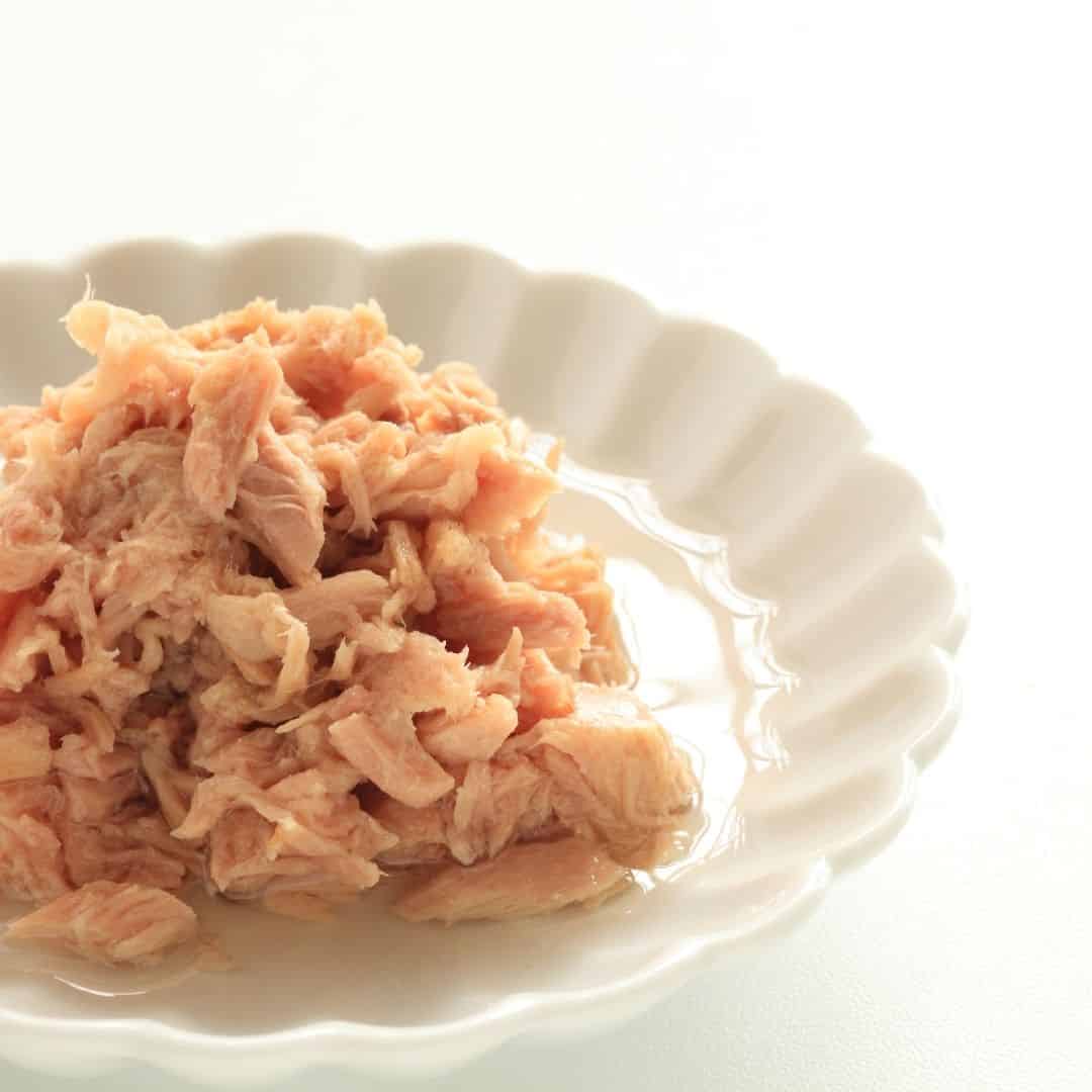 101 Ideas For Canned Tuna That Every Camper Must Try