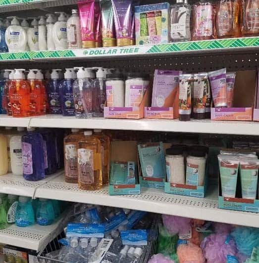 Ultimate Guide To Buying Camping Supplies At The Dollar Tree