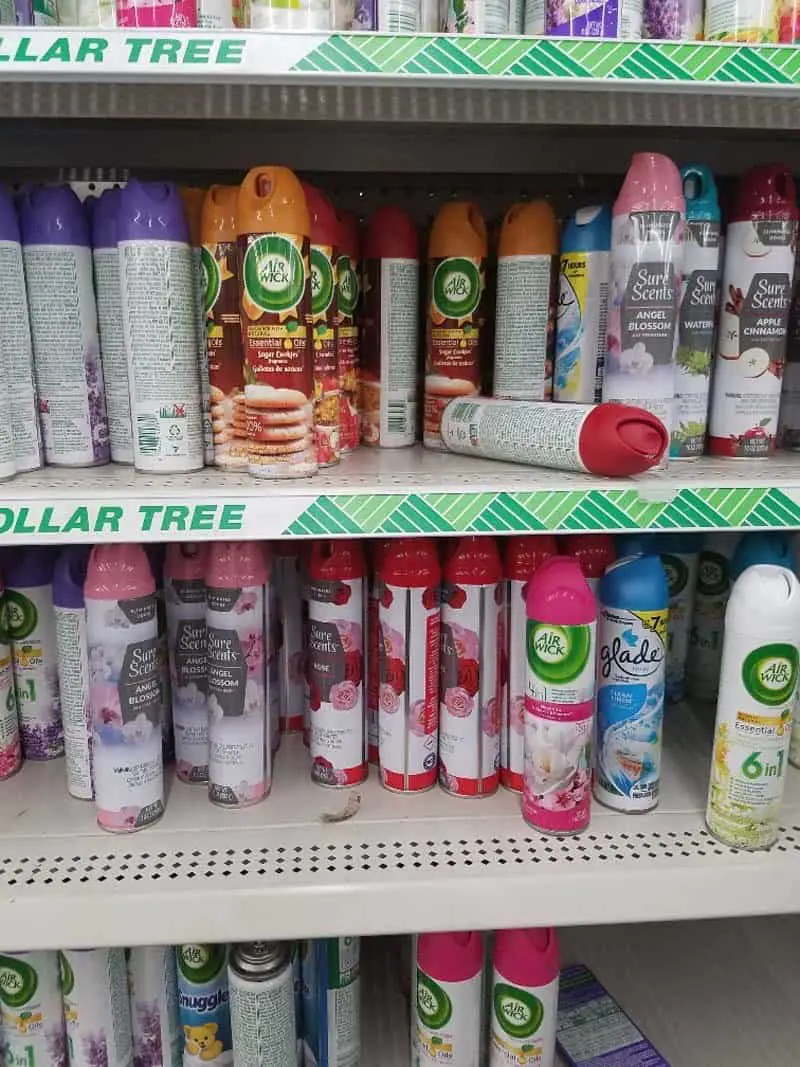 Ultimate Guide To Buying Camping Supplies At The Dollar Tree