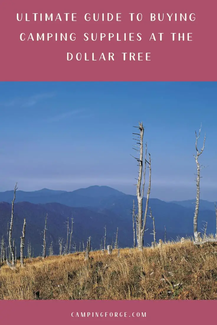 Pinterest image for Ultimate Guide To Buying Camping Supplies At The Dollar Tree