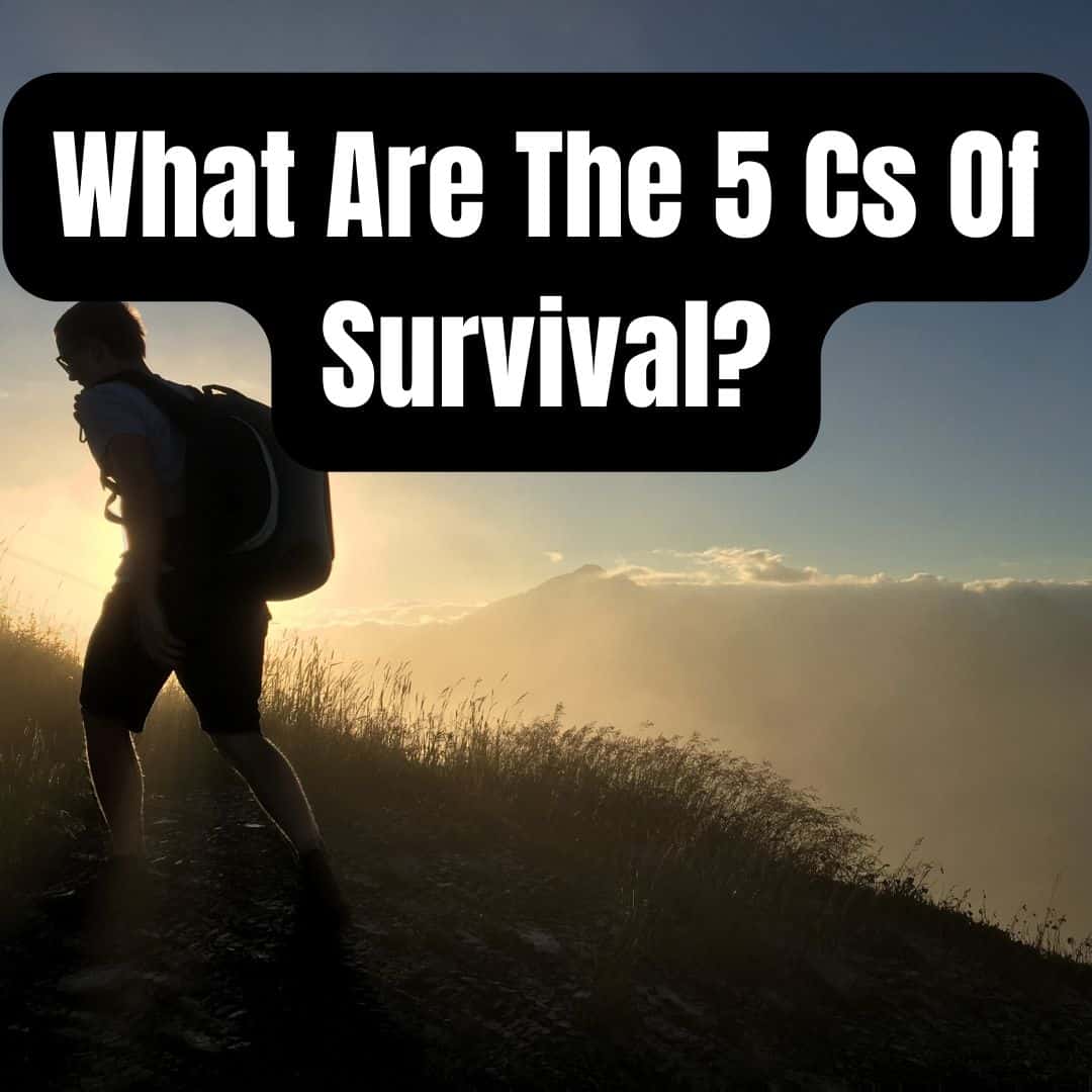 What Are The 5 Cs Of Survival?