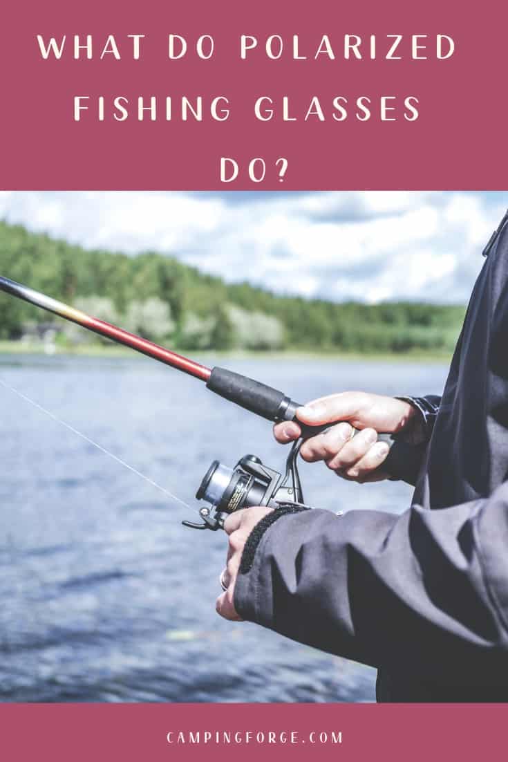 Pinterest image for What Do Polarized Fishing Glasses Do