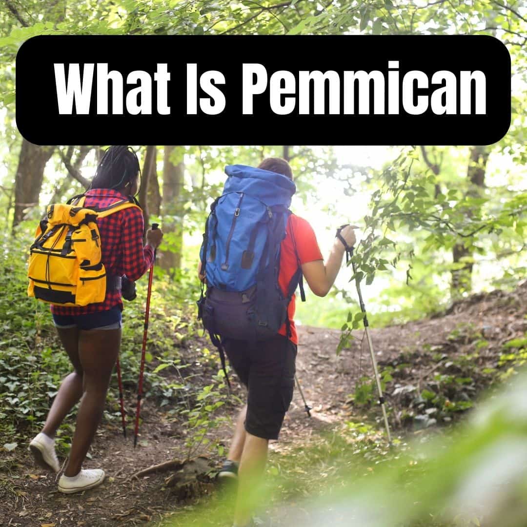 What Is Pemmican?