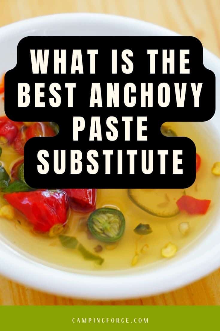 What Is The Best Anchovy Paste Substitute Camping Tips From Camping