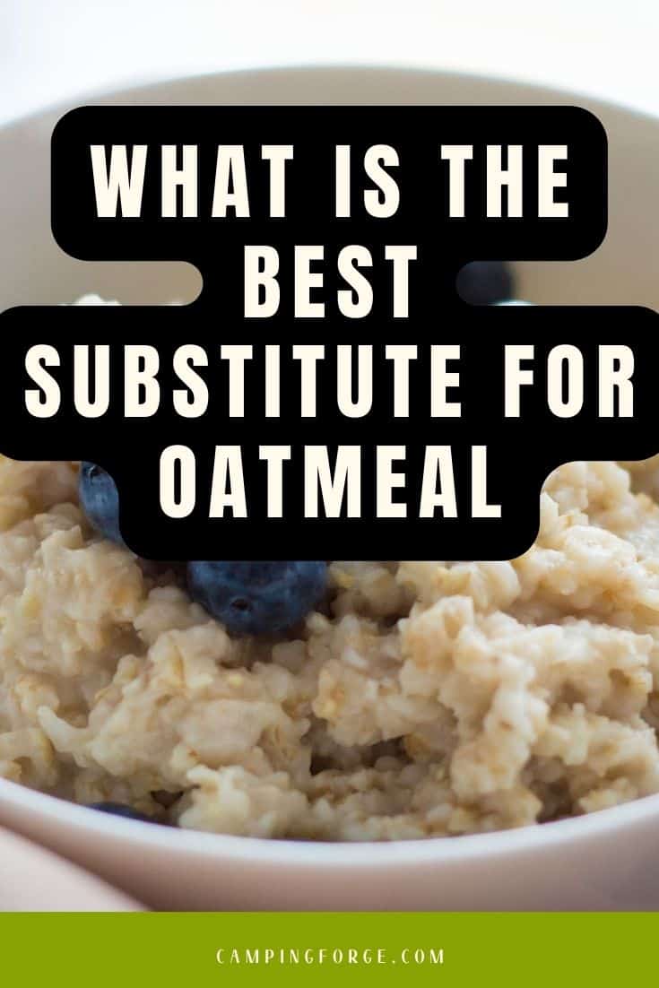 Pinterest image for What Is The Best Substitute For Oatmeal