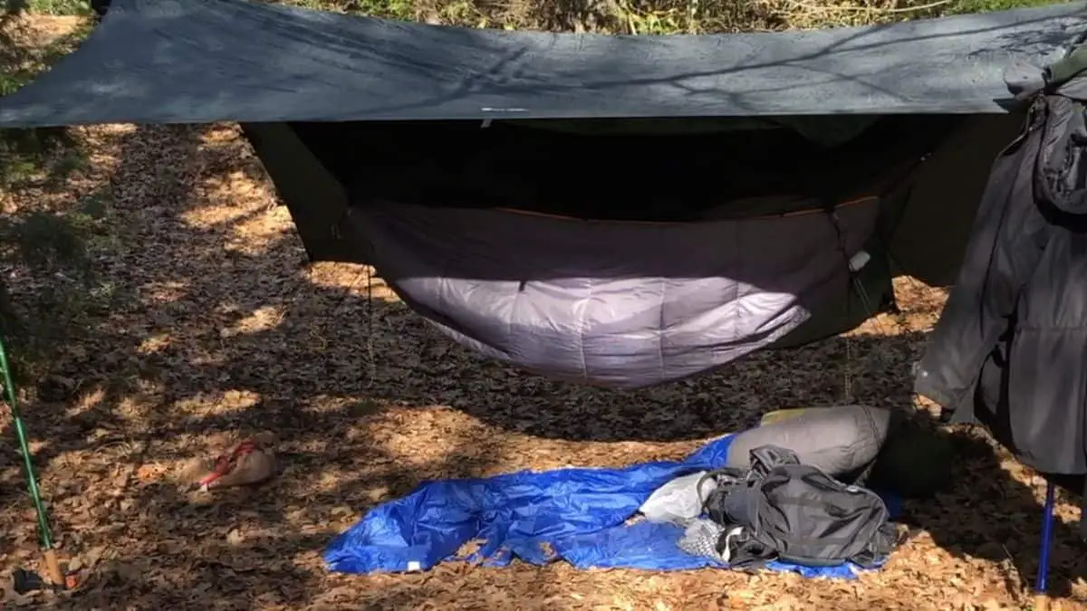 photograph of a hammock at a primitive campsite