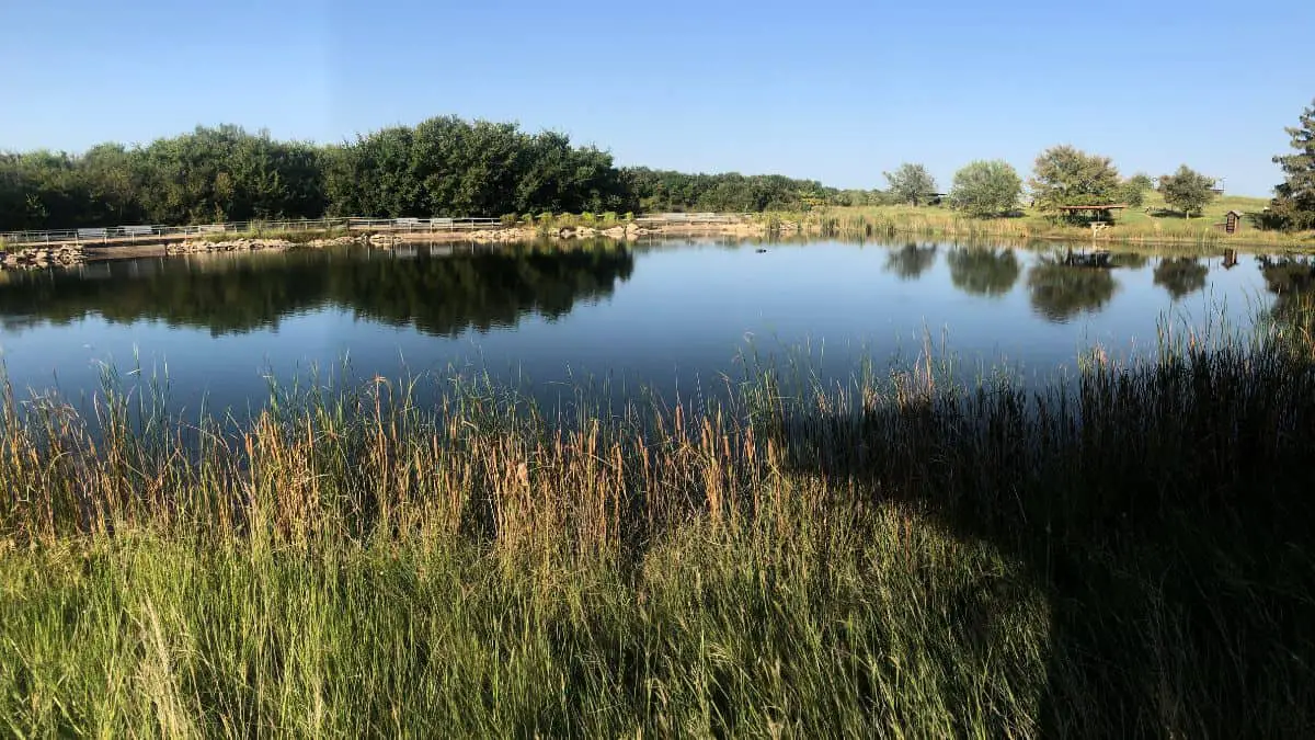 photograph of a prarie lake at a primitive campsite in Texas