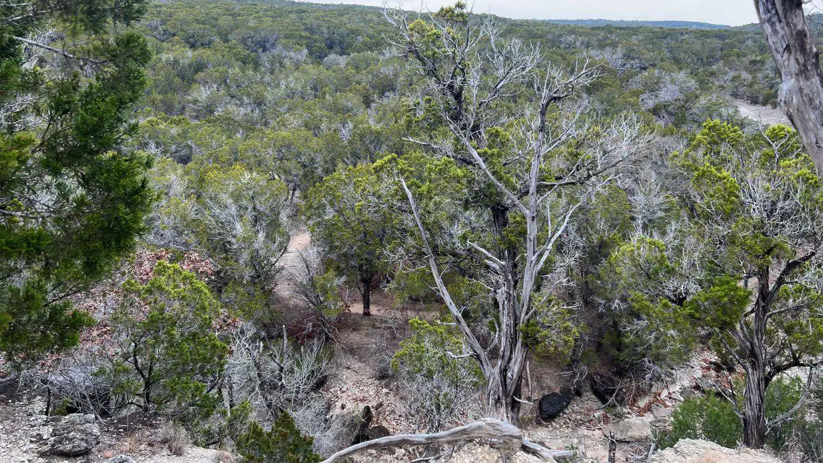 rolling hills and brush of central texas