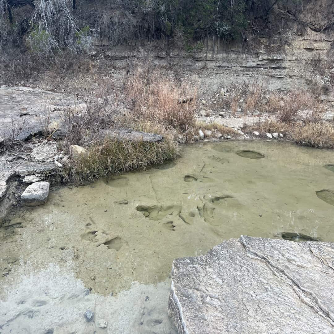 Fosselizd dinosaur footprints in the river at Dinosaur Valley State Park