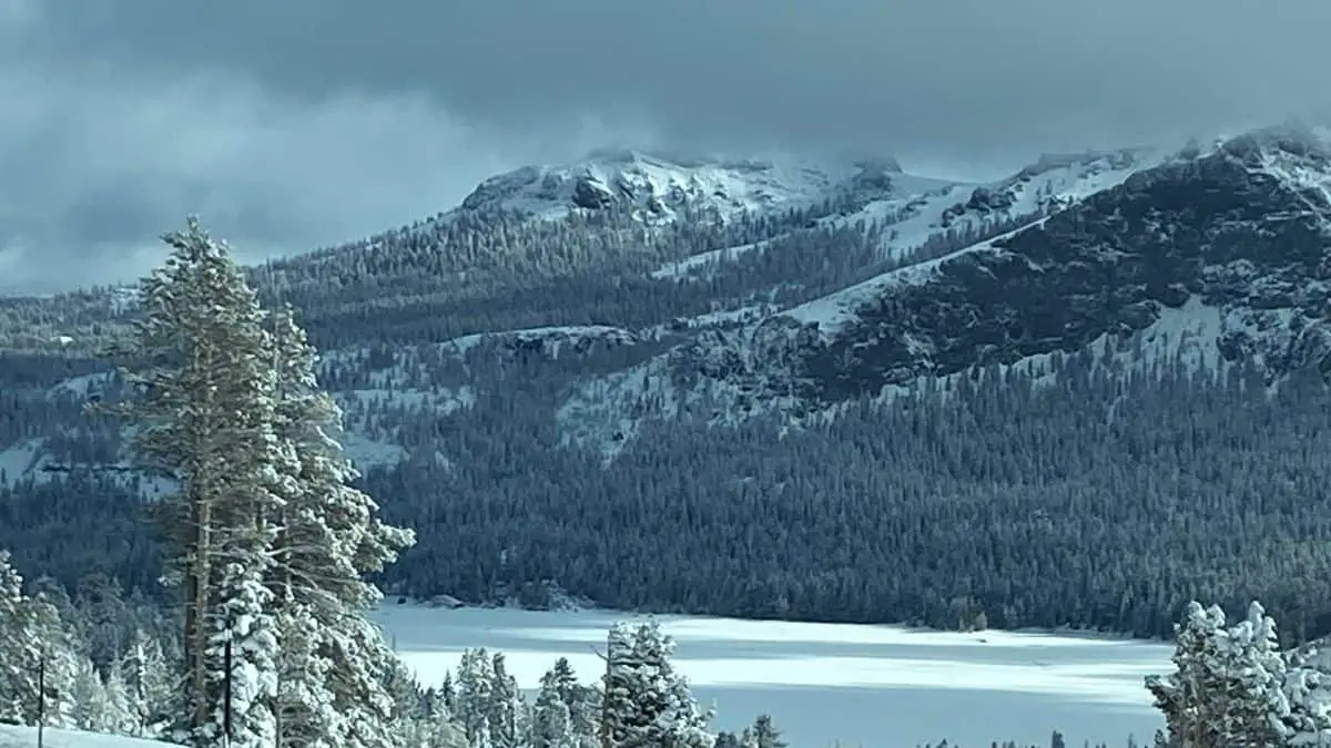 Snow covered mountains and pine trees